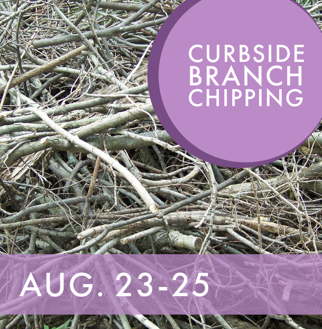 Branch Chipping_August 2021_PW newsflash (1)