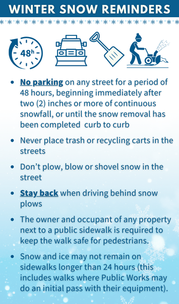 web winter snow reminders (355 x 600 px)